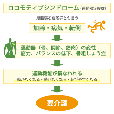ロコモティブシンドロームとは